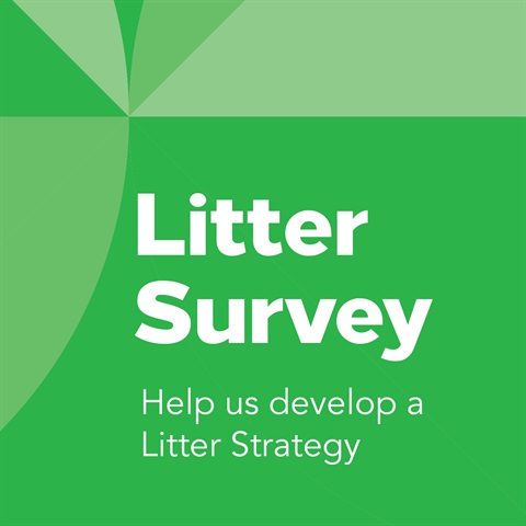 1937 Litter Strategy Survey FB 01.jpg