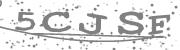 Type the letters in the image or Type the first letter of the words spoken in the audio.