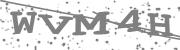 Type the letters in the image or Type the first letter of the words spoken in the audio.
