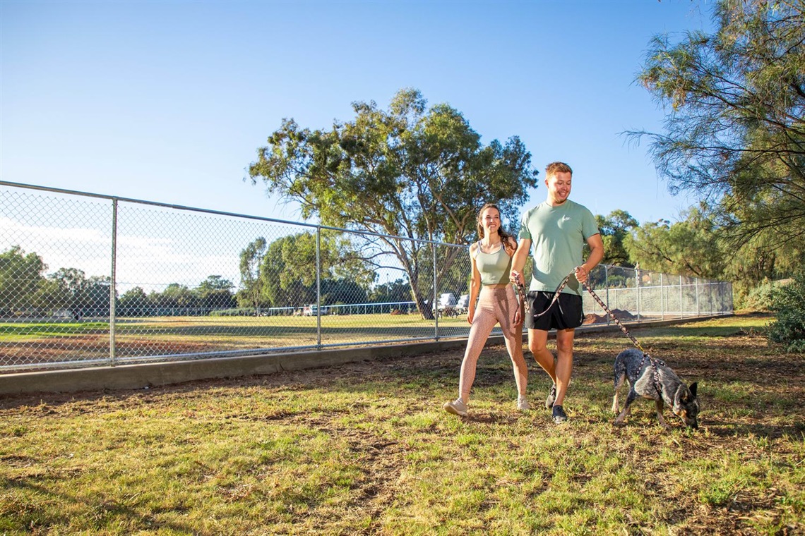 Couple at dog park with blue heeler on leash walking near fence