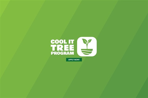 0984 Cool It Tree Program_web.jpg