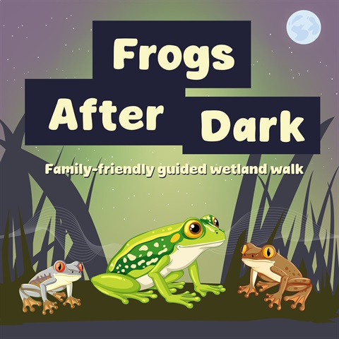 1972 Frogs After Dark September 2026 - FB tile.jpg