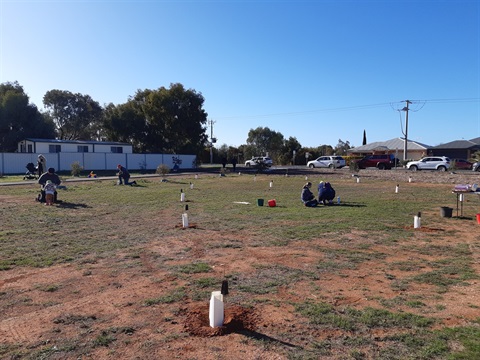 National Tree Day - Low Res.jpg