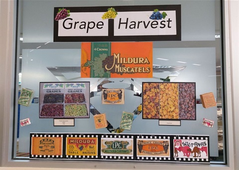Grape-Harvest-display.jpg