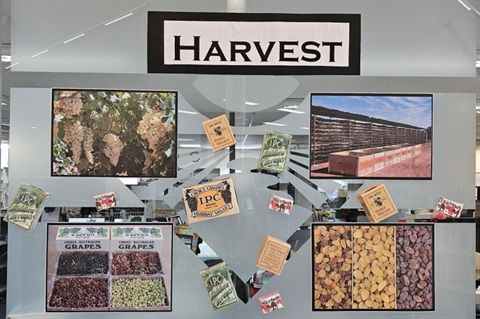 Harvest-display.jpg