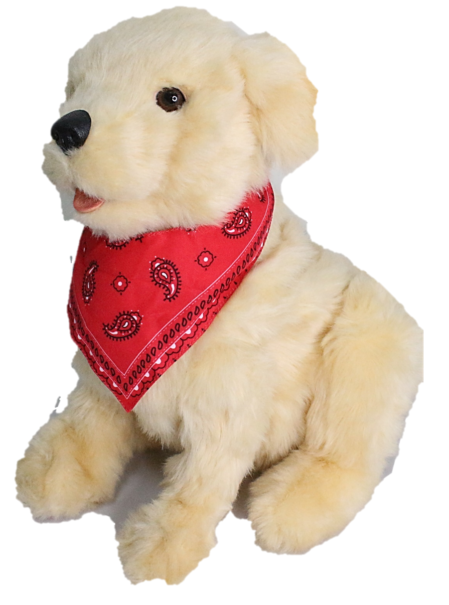 Companion-pup.png