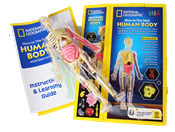 Human-Body-Model-Kit.png