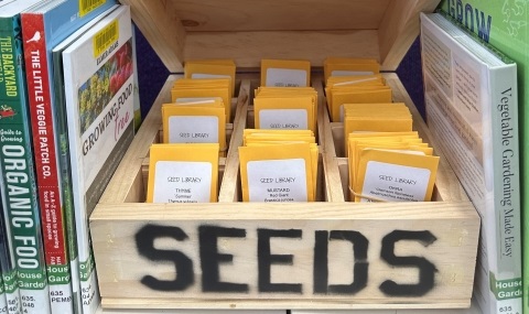Seed-Library.jpg