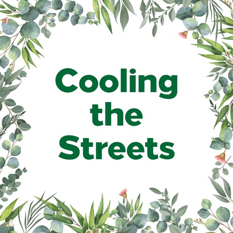 1134 Cooling the streets - Social Tile v2.jpg