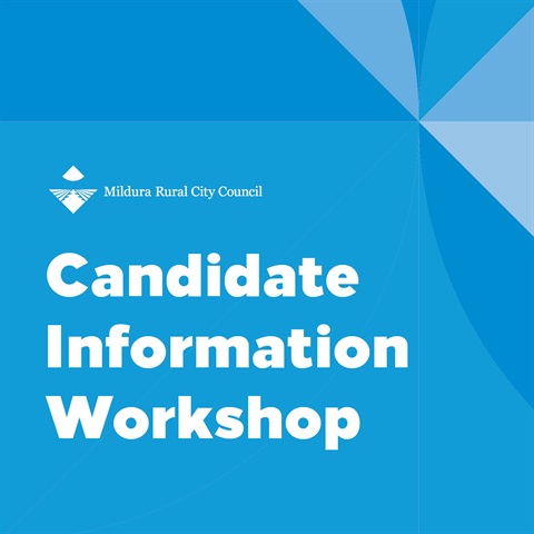 Candidate Information Workshop.jpg