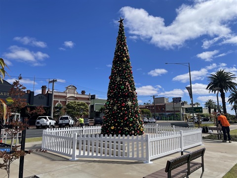 Christmas Tree Deakin Avenue Install Shot web res.jpg