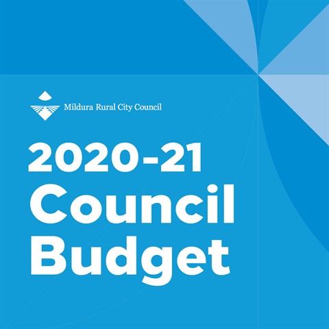 Council Budget.jpg