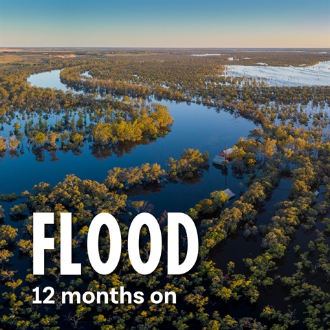 Flood 12 months.jpg