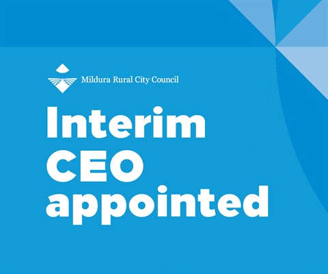 Interim CEO_media.jpg