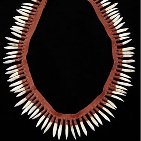 Kangaroo-teeth-necklace-500SQ.jpg