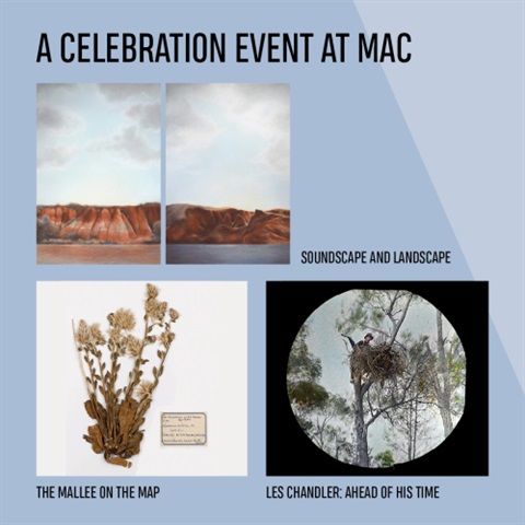 MAC celebration.jpg