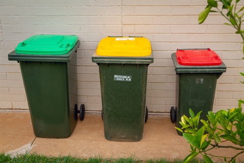 Green Bin.jpg